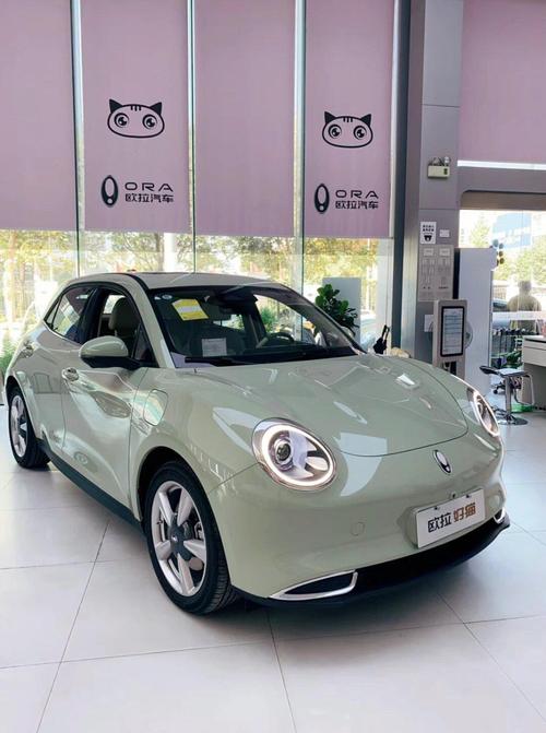 【猫系列电动汽车,电车品牌新能源猫】