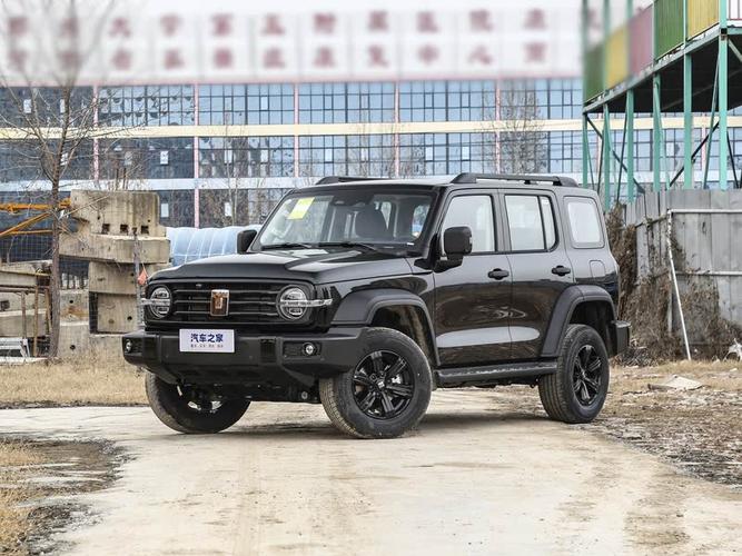 魏派越野车300价格 魏派300越野版图片及价格