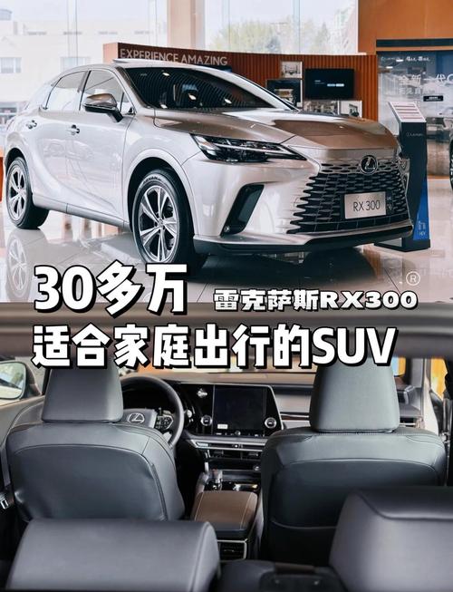 雷克萨斯nx300缺点／雷克萨斯nx 300怎么样