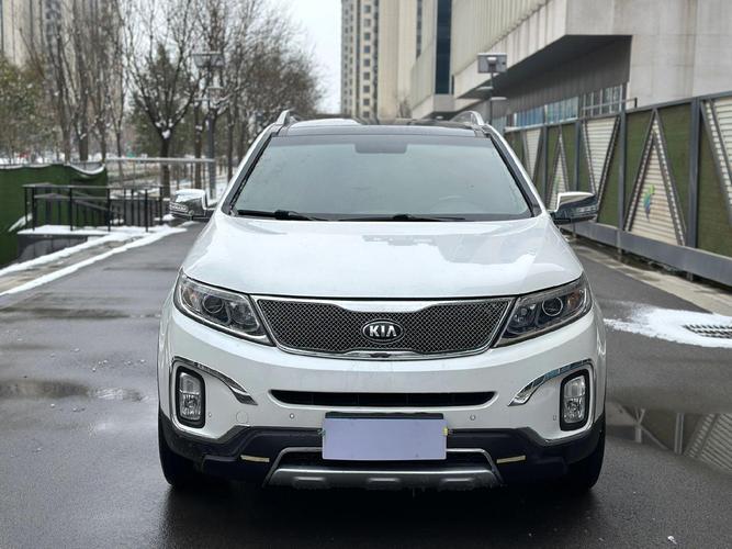 起亚图片大全大图,起亚图片大全大图真实