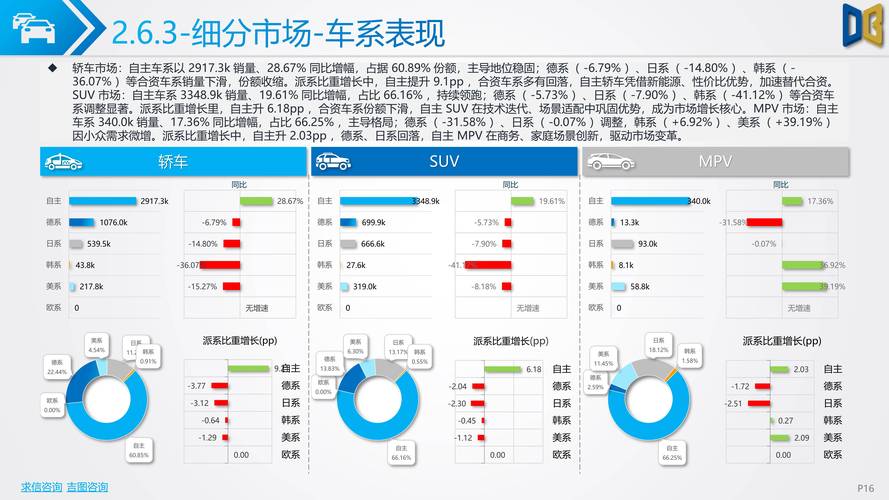 新能源汽车市场调查分析报告(新能源汽车市场调查分析报告怎么写)