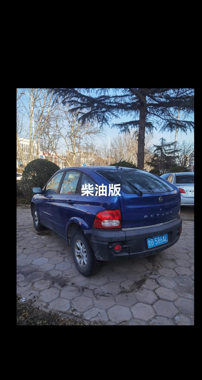 08年双龙爱腾柴油版 08年双龙爱腾柴油版尾气排放是国几