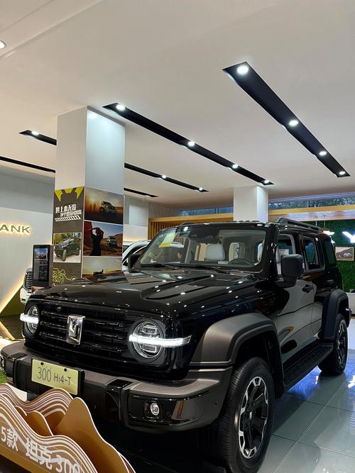 【长城坦克300,长城坦途克300图片报价顶配】